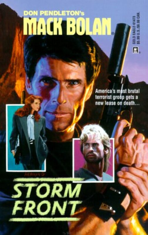 Book cover for "Storm Front" by Mike Newton