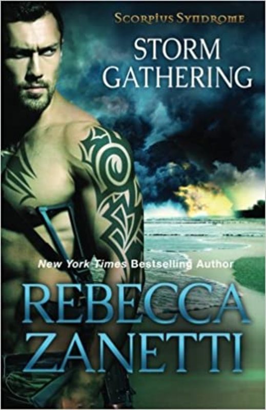 Book cover for "Storm Gathering" by Rebecca Zanetti