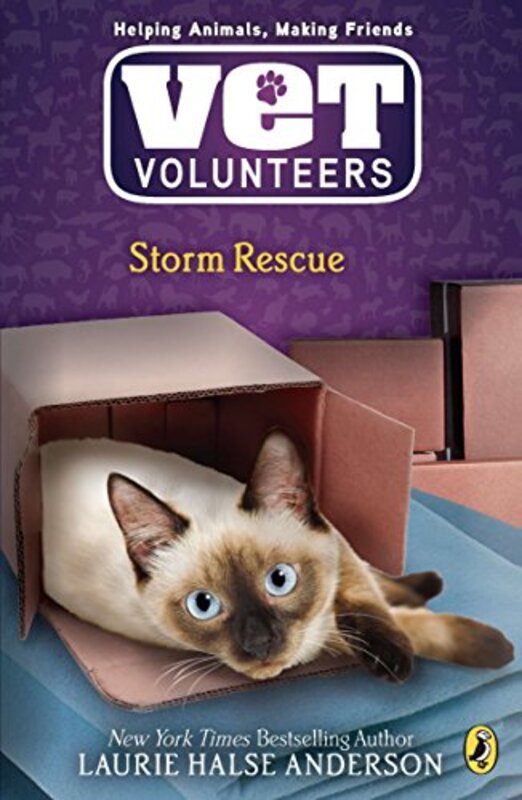 Book cover for "Storm Rescue" by Laurie Halse Anderson