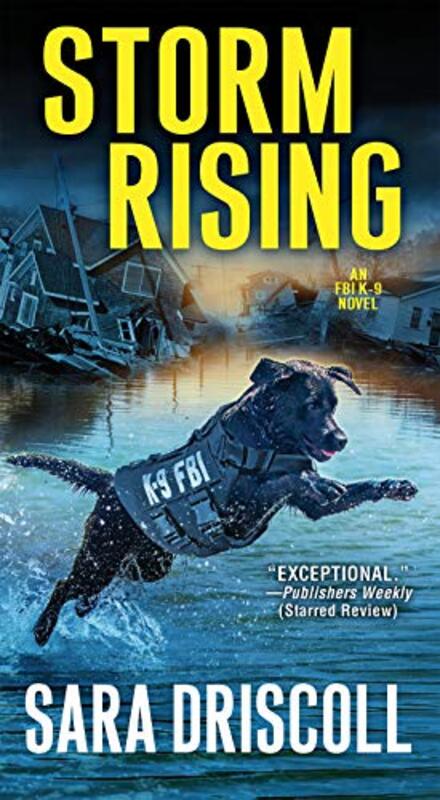 Book cover for "Storm Rising" by Sara Driscoll