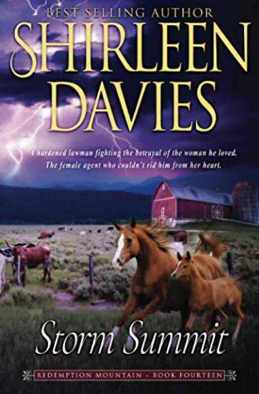 Book cover for "Storm Summit" by Shirleen Davies