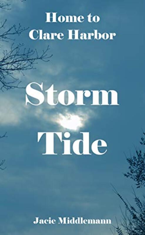 Book cover for "Storm Tide" by Jacie Middlemann