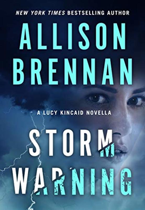 Book cover for "Storm Warning" by Allison Brennan