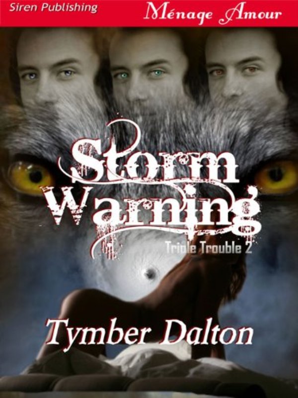 Book cover for "Storm Warning" by Tymber Dalton