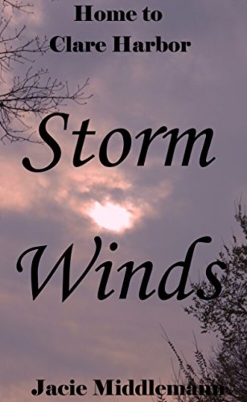 Book cover for "Storm Winds" by Jacie Middlemann