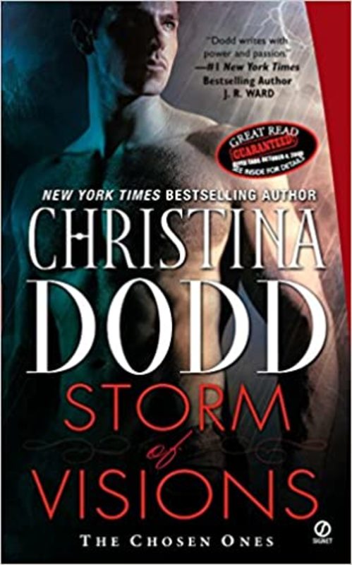 Book cover for "Storm of Visions" by Christina Dodd