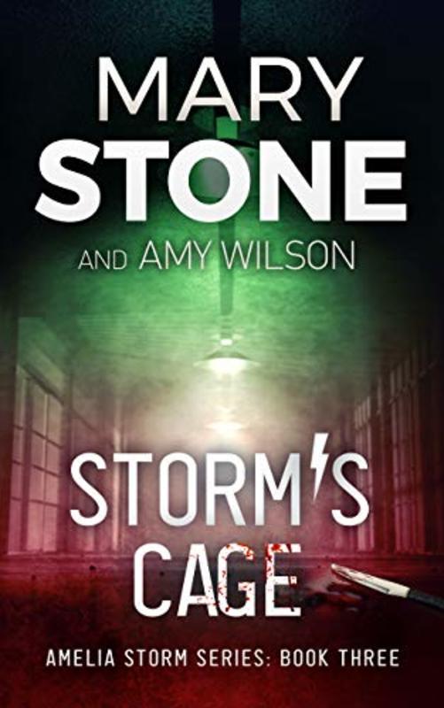 Book cover for "Storm's Cage" by Mary Stone