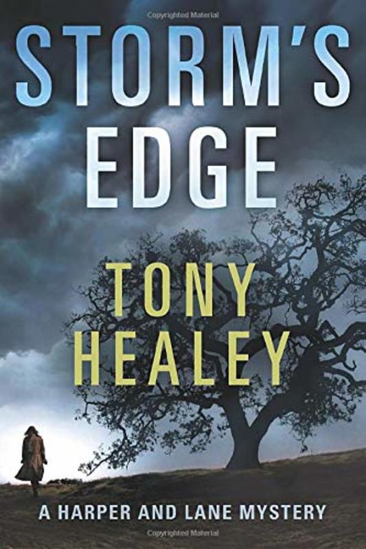 Book cover for "Storm's Edge" by Tony Healey