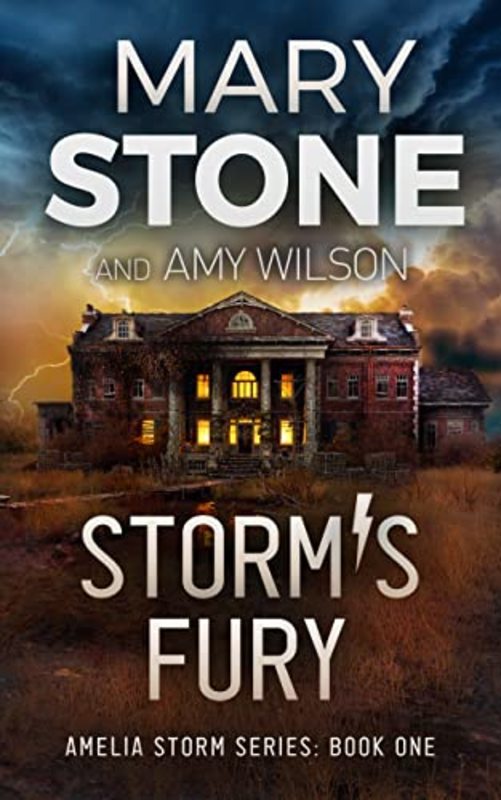 Book cover for "Storm's Fury" by Mary Stone