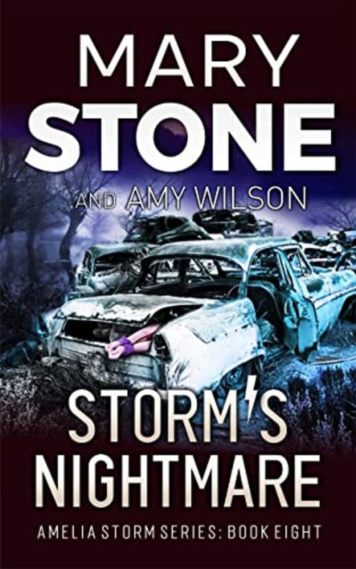 Book cover for "Storm's Nightmare" by Mary Stone