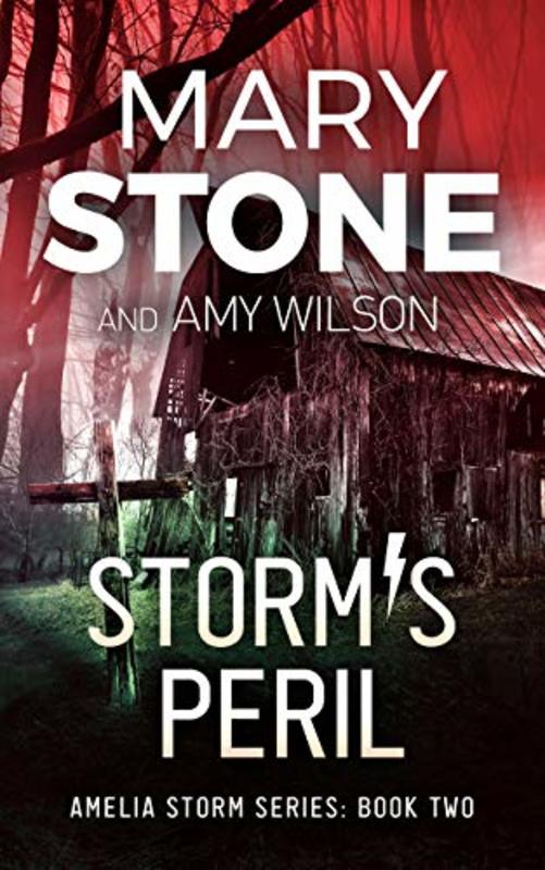 Book cover for "Storm's Peril" by Mary Stone
