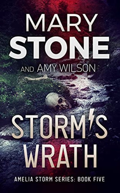 Book cover for "Storm's Wrath" by Mary Stone