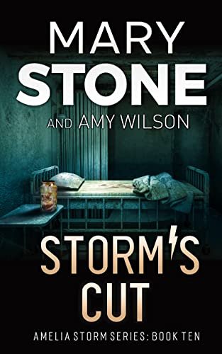 Book cover for "Storm's Cut" by Mary Stone