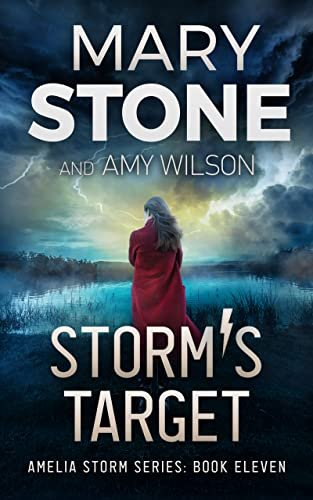 Book cover for "Storm's Target" by Mary Stone