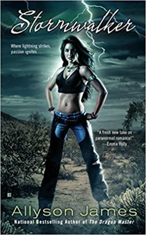 Book cover for "Stormwalker" by Allyson James