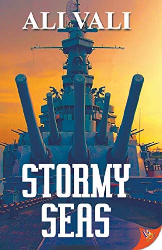 Book cover for "Stormy Seas" by Ali Vali