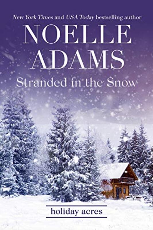 Book cover for "Stranded in the Snow" by Noelle Adams
