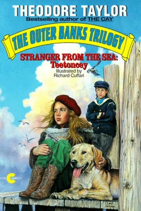 Book cover for "Stranger from the Sea" by Theodore Taylor