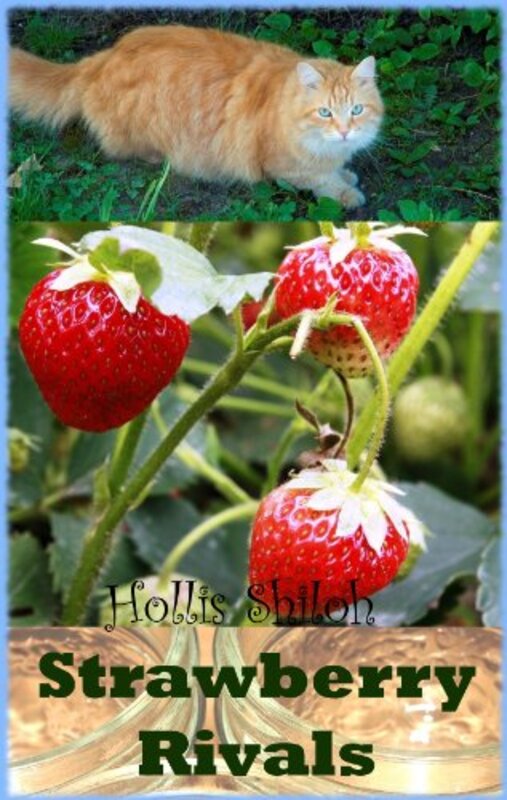 Book cover for "Strawberry Rivals" by Hollis Shiloh