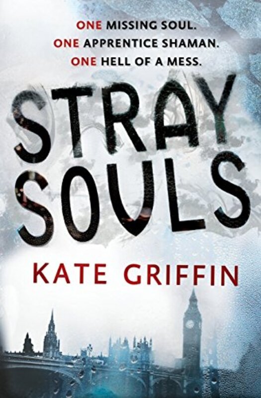 Kate Griffin book cover