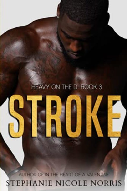 Book cover for "Stroke" by Stephanie Nicole Norris