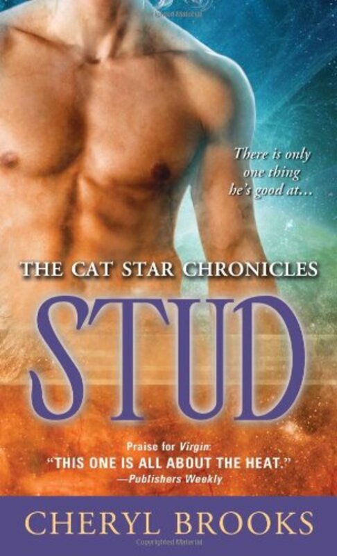 Book cover for "Stud" by Cheryl Brooks