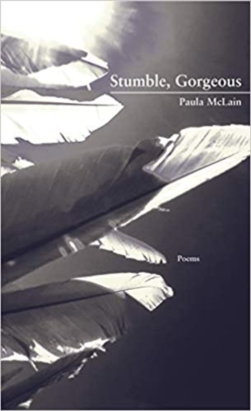 Book cover for "Stumble, Gorgeous" by Paula McLain