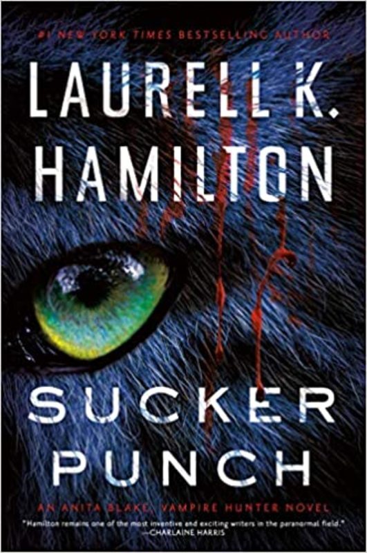 Book cover for "Sucker Punch"