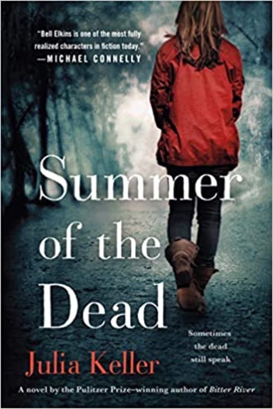 Book cover for "Summer of the Dead" by Julia Keller