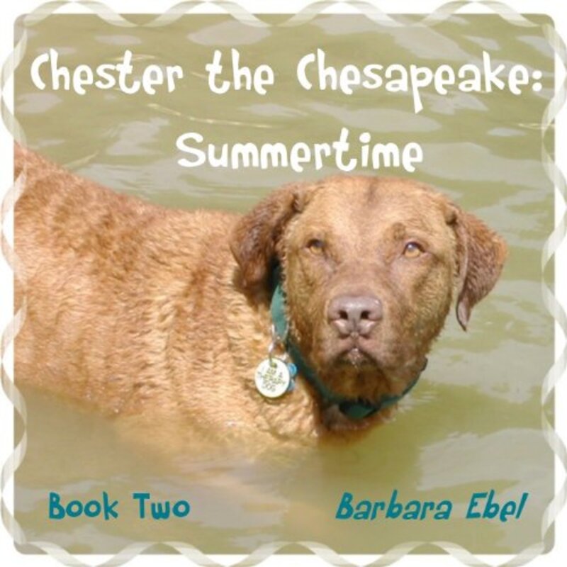 Book cover for "Summertime" by Barbara Ebel
