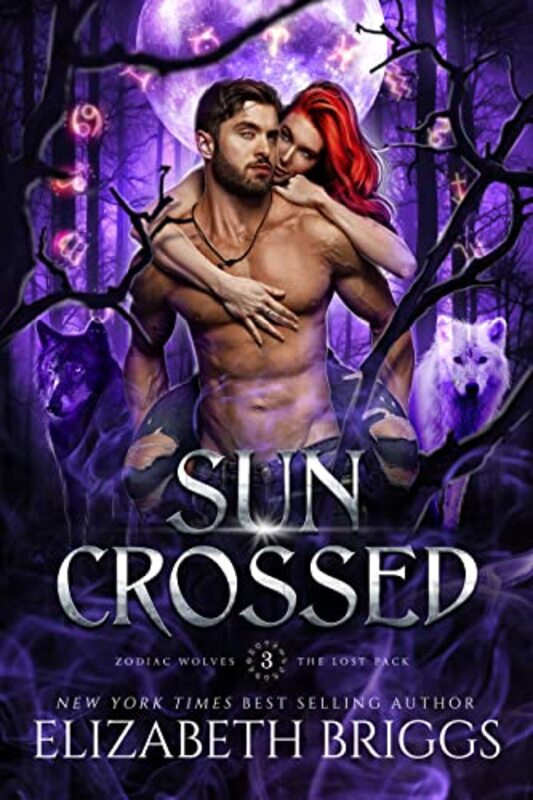 Elizabeth Briggs book cover