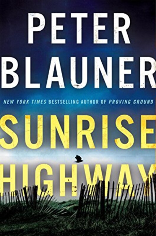 Peter Blauner book cover