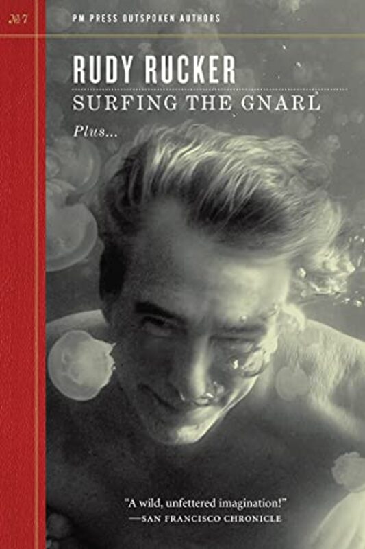 Book cover for "Surfing the Gnarl" by Rudy Rucker