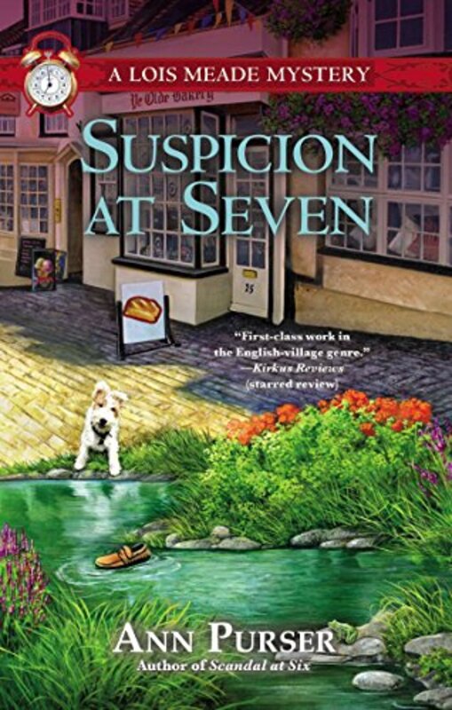 Lois Meade book cover
