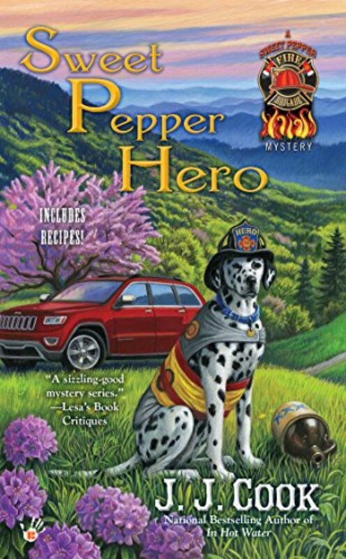 JJ Cook book cover