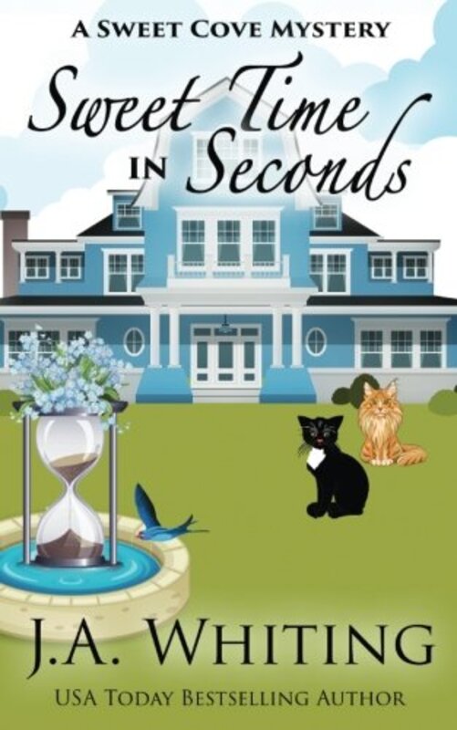Book cover for "Sweet Time in Seconds" by JA Whiting