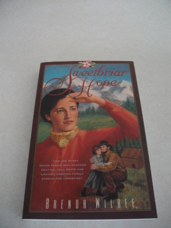 Brenda Wilbee book cover