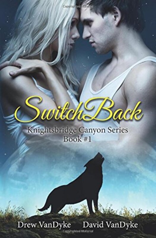 Book cover for "SwitchBack" by David VanDyke