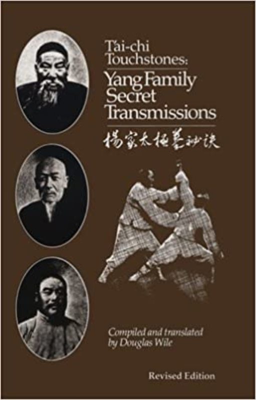 Book cover for "Tai Chi Touchstones" by Douglas Wile