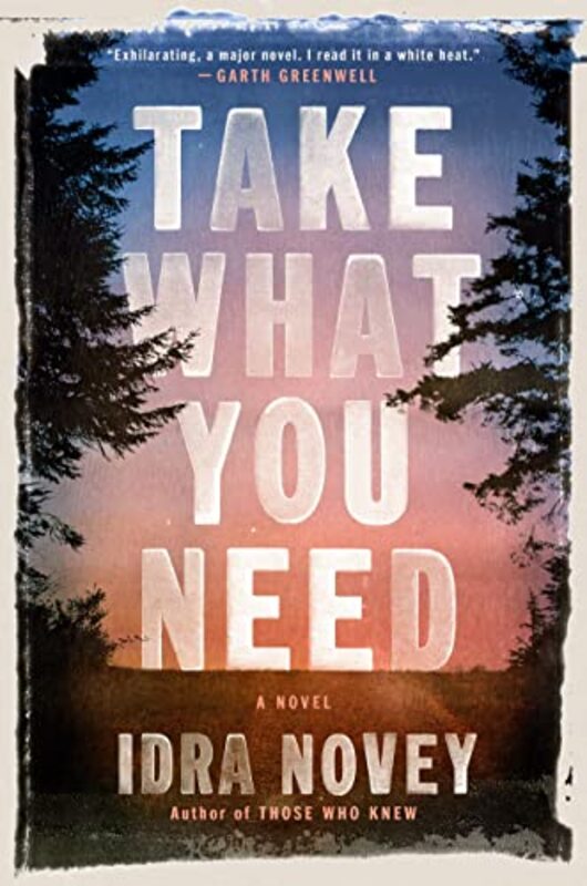 Idra Novey book cover