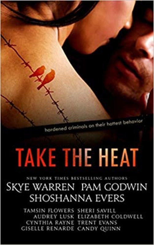 Book cover for "Take the Heat" by Skye Warren