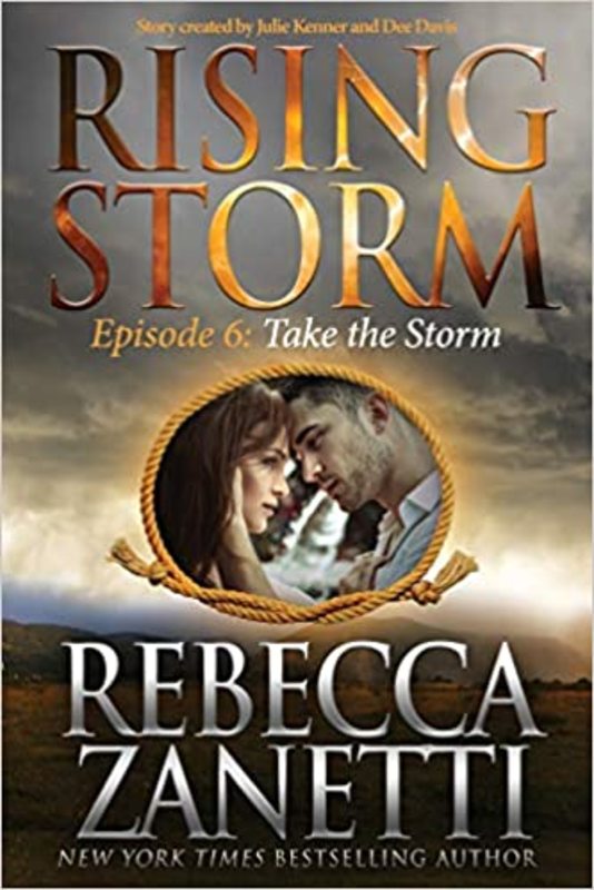 Book cover for "Take the Storm" by Various