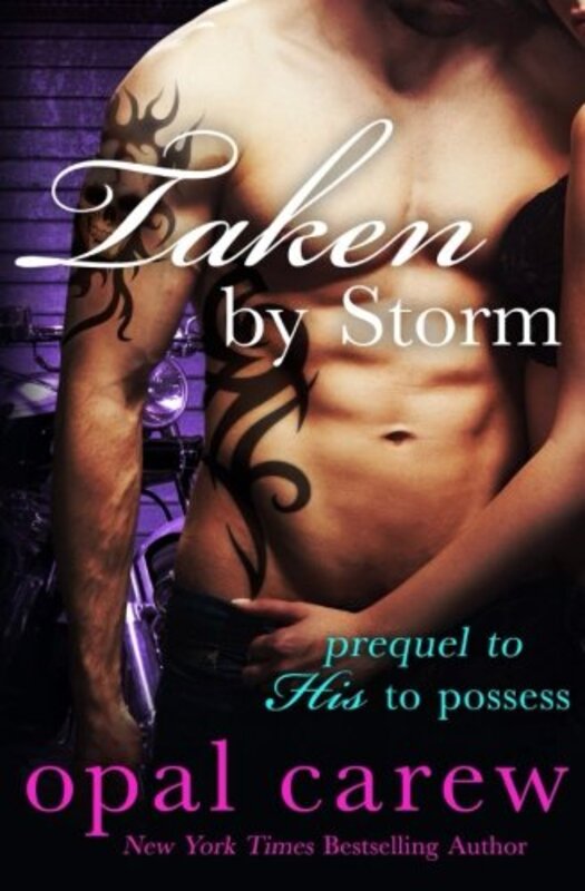 Book cover for "Taken By Storm" by Opal Carew