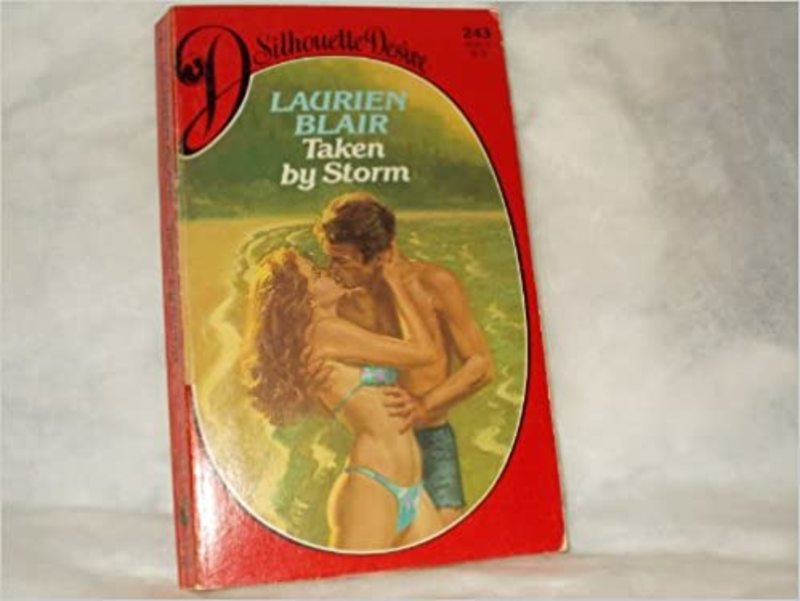 Book cover for "Taken by Storm" by Laurien Berenson