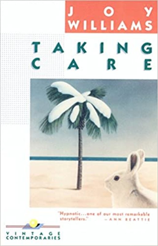 Book cover for "Taking Care" by Joy Williams