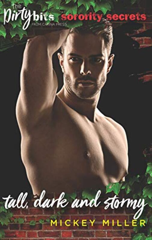 Book cover for "Tall, Dark and Stormy" by Mickey Miller