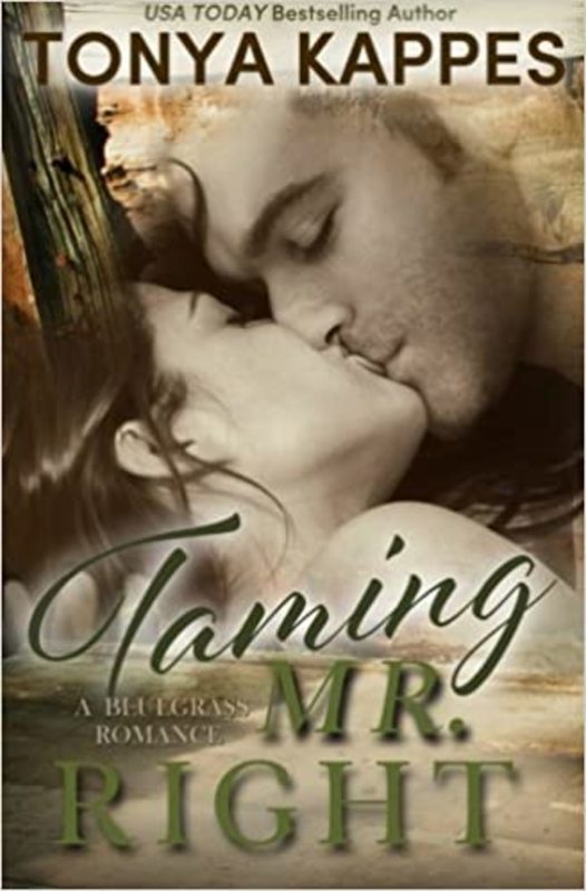 Book cover for "Taming Mr. Right" by Tonya Kappes