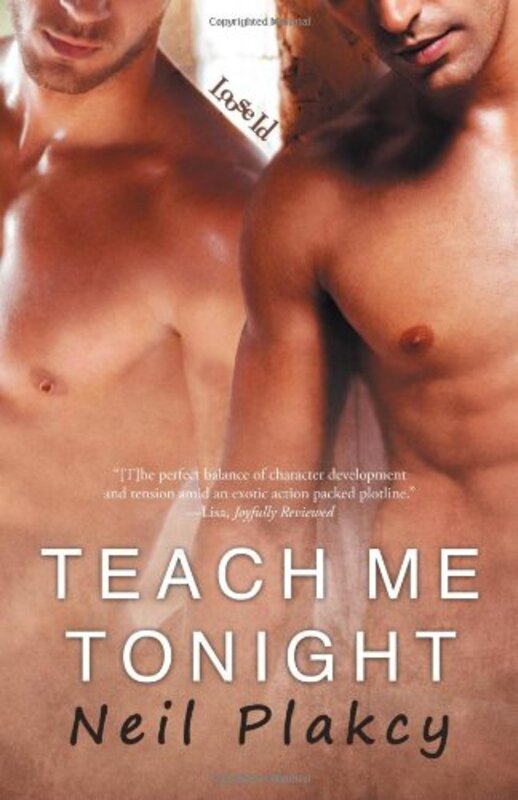 Book cover for "Teach Me Tonight" by Neil Plakcy