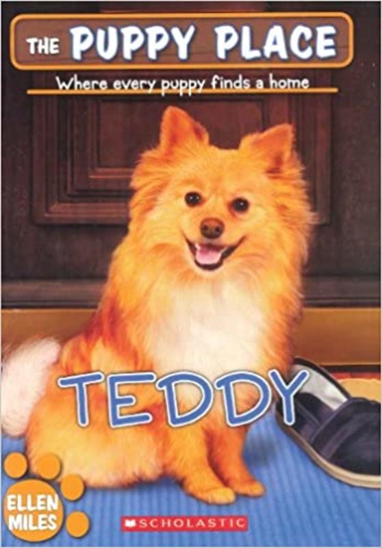 Book cover for "Teddy" by Ellen Miles