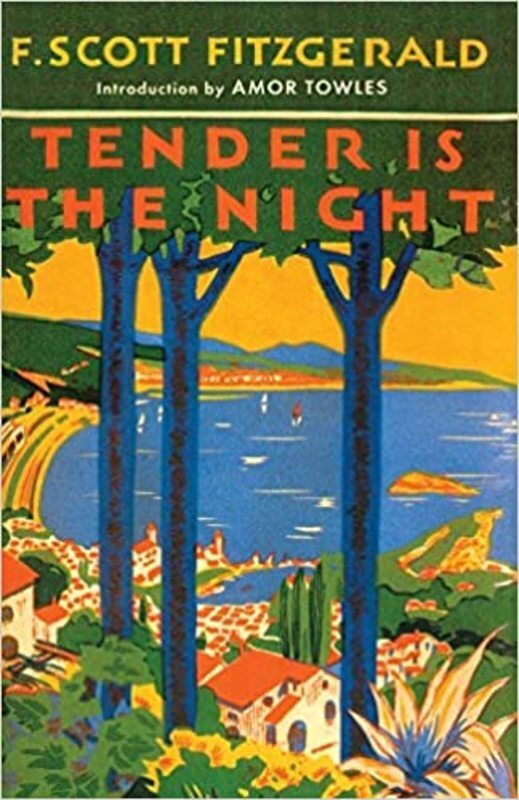 Book cover for "Tender Is the Night" by F. Scott Fitzgerald